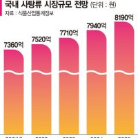 세노비스 키즈 프로폴리스