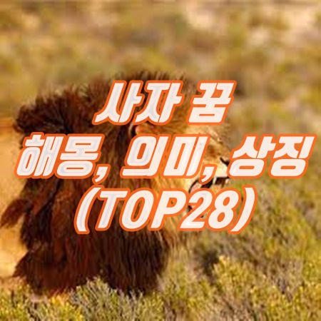 사자 꿈 해몽, 의미, 상징 (새끼, 흰, 아기 등등) TOP28