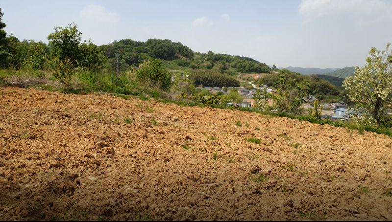 (땅나라 358번) 경남 함안군 대산면 소재, 도로옆 약간 올라앉아 마을이 보이는 토지 매매 / 문의 055)585-0053