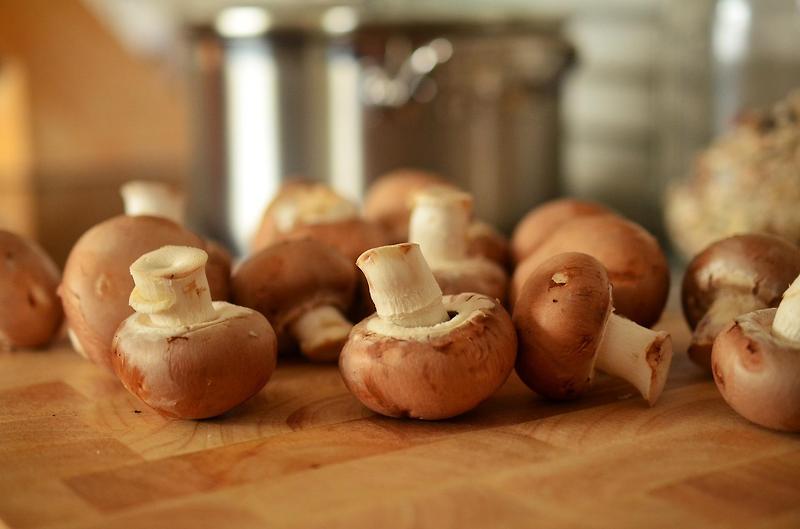 버섯의 효용성, 몸에 좋고 맛있는 버섯 소개