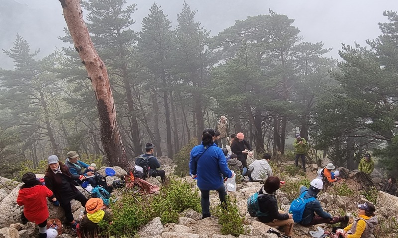 설악산국립공원 울산바위 옛길 환경 정화 활동
