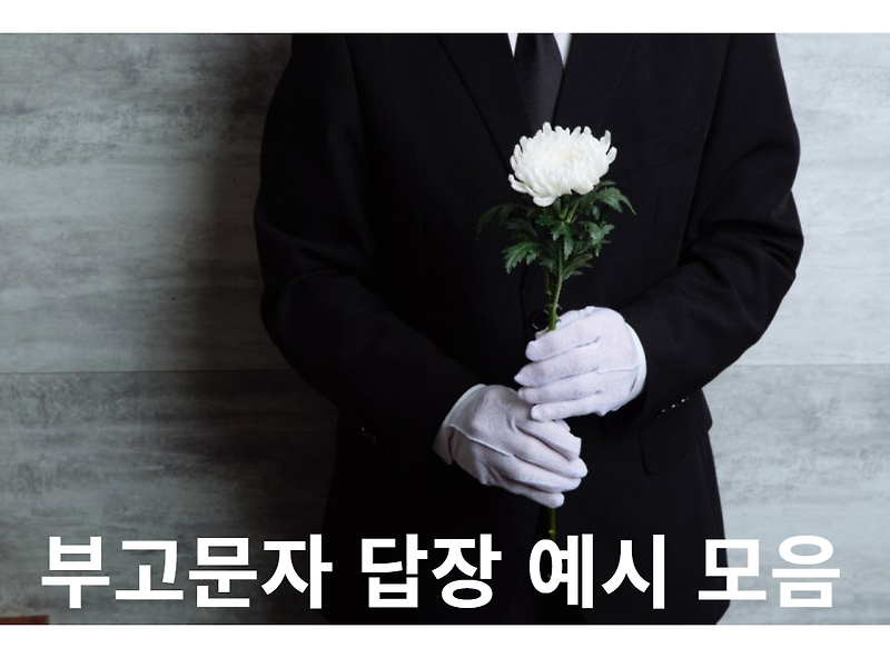 부고 문자 답장 예시 모음