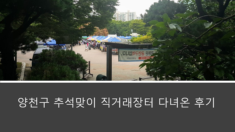 양천구 추석맞이 직거래 장터 다녀온 후기, 리뷰