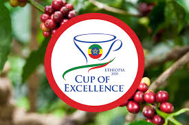 2020 Ethiopia Cup of Excellence (2020 에티오피아 컵오브엑설런스 옥션결과)