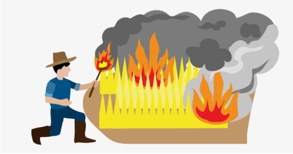 화재의 예방 및 안전관리, 소방시설 설치 및 관리에 관한 법률 시행규칙 출제 예상 문제