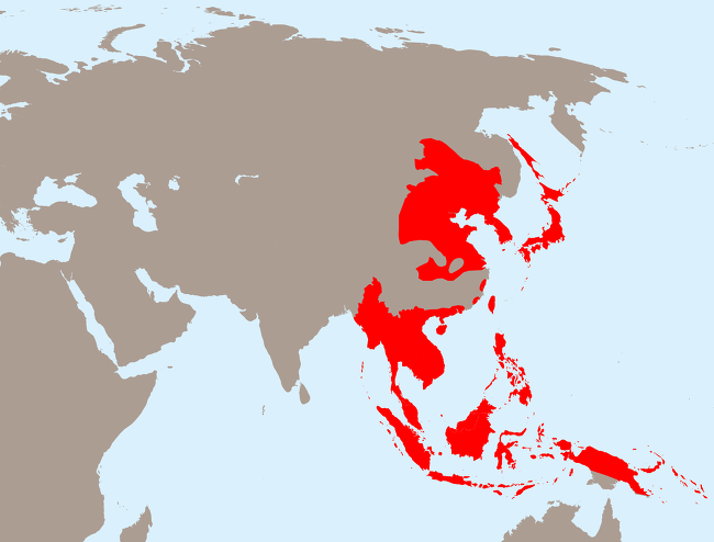 메이지 다이쇼 쇼와 시대 전성기를 구가하던 일본 제국의 식민지였던 조선 vs 대만 6가지 비교