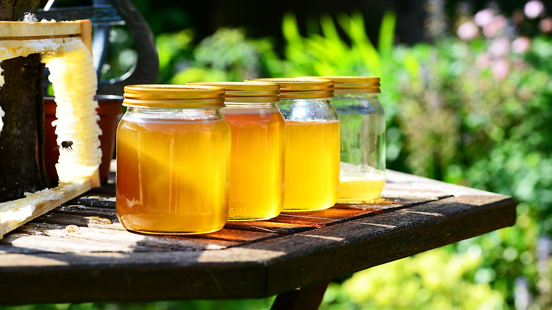 다이어트, 숙취 등에 좋은 꿀 효능, 부작용 그리고 꿀물(꿀차) 타는방법