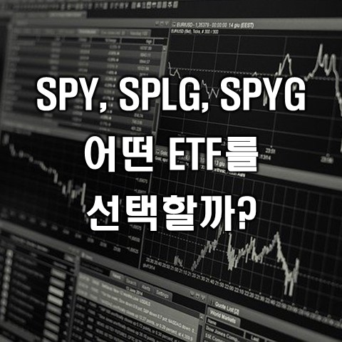미국 S&P500 지수 추종 ETF:: SPY, SPYG, SPLG 비교(차이점)