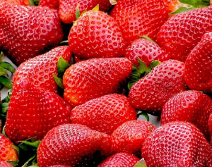딸기(Strawberry) 효능 및 먹는 방법