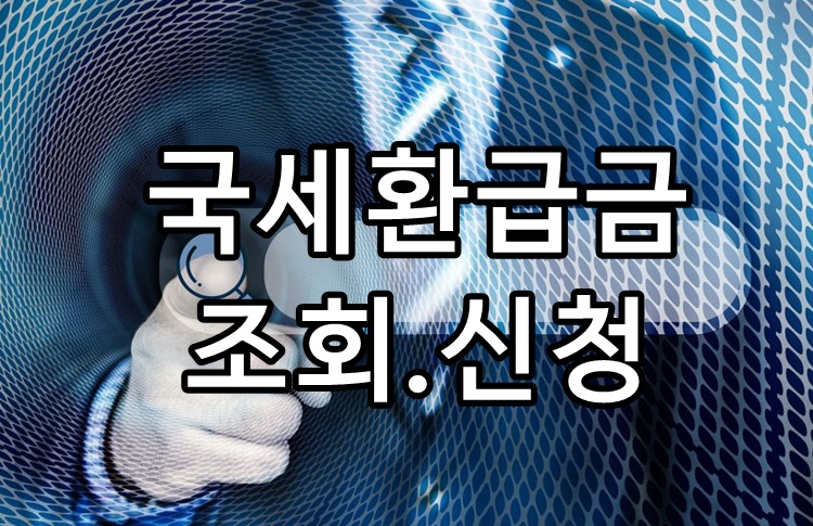 국세환급금 조회 및 신청 총정리