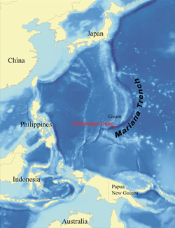 세계 최초로 태평양 마리아나 해구 수심 8178m 에서 심해어 촬영에 성공한 일본