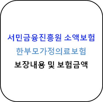 서민금융진흥원 소액보험 - 한부모가정의료보험 상세정보