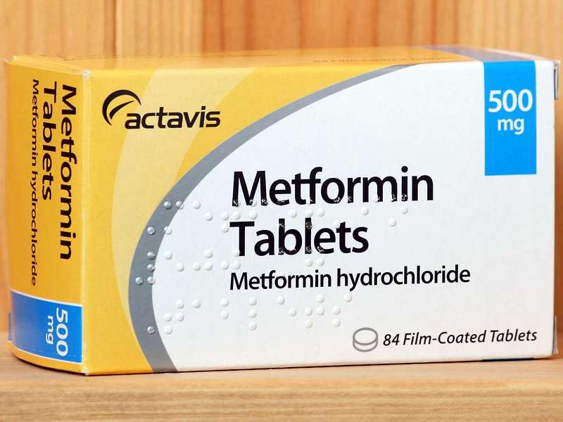 메트포르민(Metformin)의 작용기전