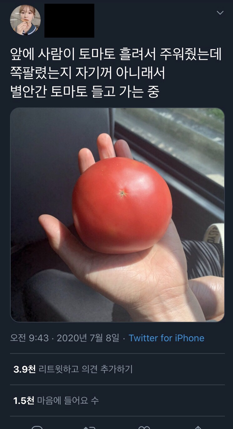 별안간 토마토 들고 가는 중