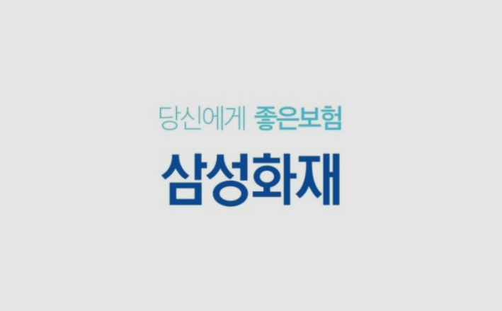 한국에서 가장 안전한 주식, 삼성 그룹주식 그 중에서도 삼성화재우