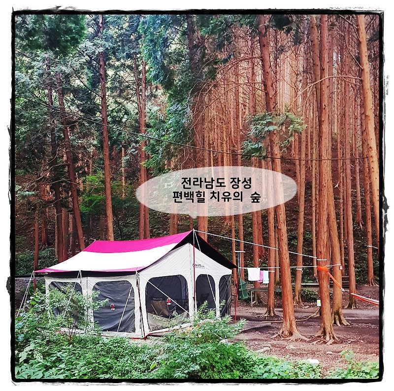 [캠핑후기] 전남 장성, 편백힐 치유의 숲 1박2일 후기