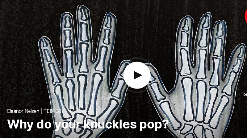 TED 테드로 영어공부 하기 Why do your knuckles pop