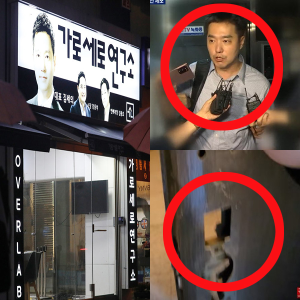 가세연 출연진 김용호 김세의 강용석 체포 사유 뒷이야기