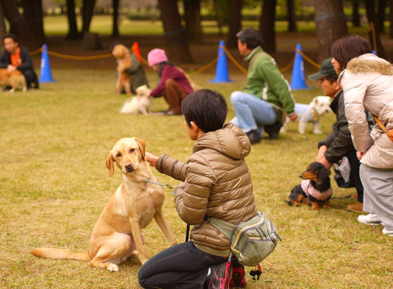 볼키맘이 들려주는 일본의 반려동물 문화