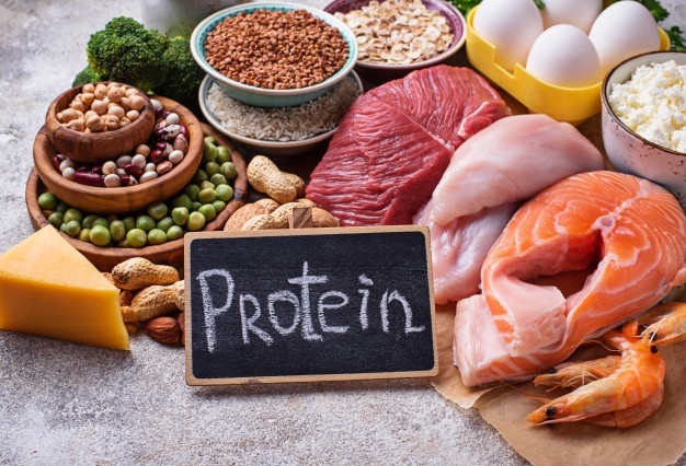 단백질 많은 음식 종류 및 함량