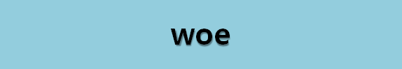 뉴스로 영어 공부하기: woe (비통)