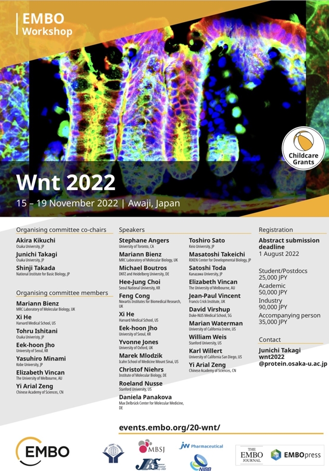 JW중외제약, 'Wnt 2022' 참가해 탈모치료제 'JW0061' 전임상 결과 공개