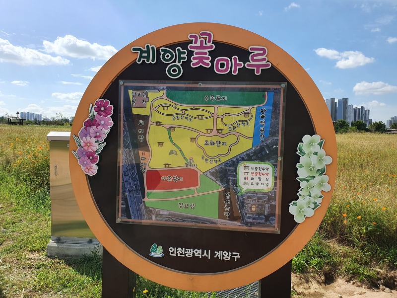 인천 계양 반려견쉼터 이용 후기, 인천 무료 애견 놀이터