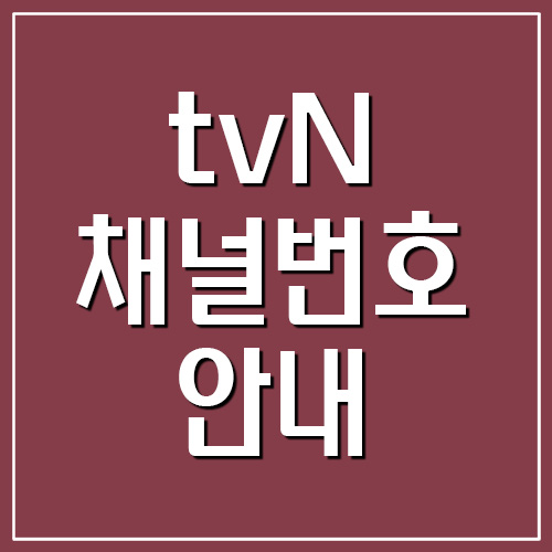 tvN 채널번호 안내