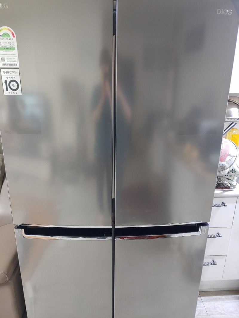 LG DIOS 1등급 냉장고 인터넷 구매
