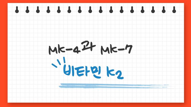 비타민 K2의 형태 MK-4와 MK-7의 차이점