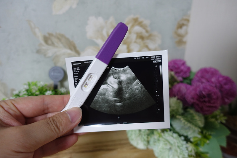 임신테스트기 사용 시기 및 방법 체크 희미한 두줄 임신 일까?