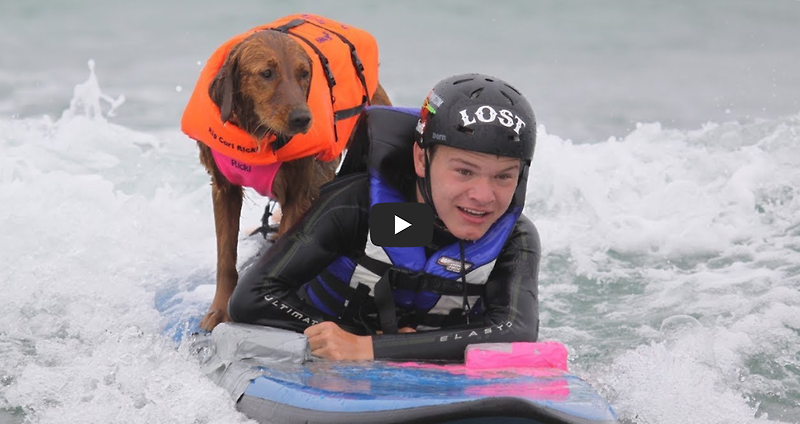 [영상] 장애우 Patrick Ivison과 함께 서핑하는 개, 'Ricochet'의 감동적인 이야기