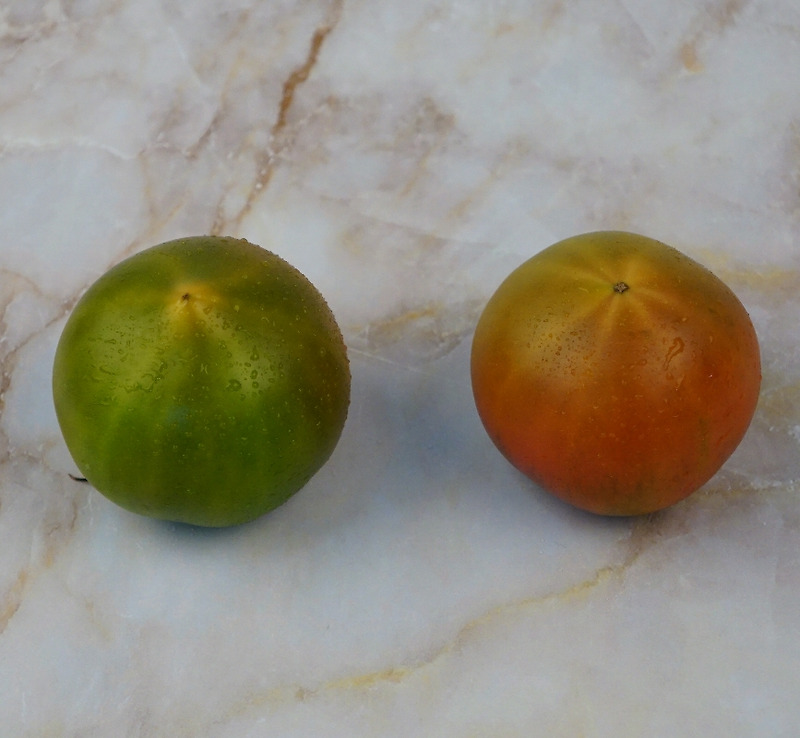 부산 대저 짭짤이 토마토 2.5kg 먹는법