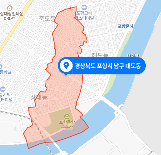 경북 포항시 남구 대도동 그린맨션 아파트 뺑소니 사망사건 (2020년 11월 14일)