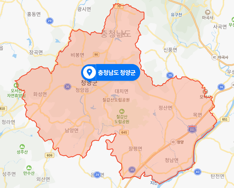충남 청양군 지천 생태공원 하천 모녀 시신사건 (2021년 1월 31일)