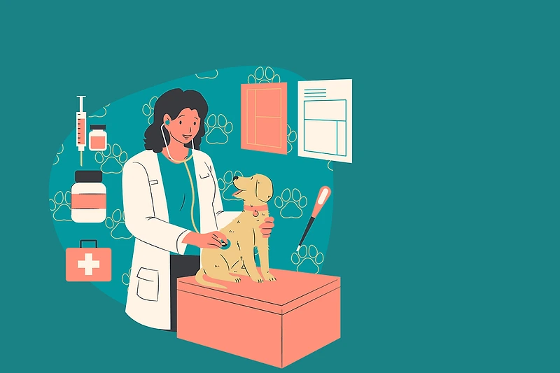 강아지 예방접종: 시기와 종류, 순서, 비용, 접종비용 절약하는 꿀팁까지!