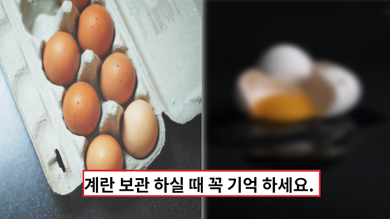 '계란은 꼭 이렇게 보관하세요' 잘못하면 식중독 일으킬수 있어요.