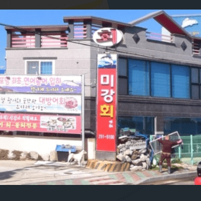 생활의 달인 포항물회 달인 미강횟집 위치 정보