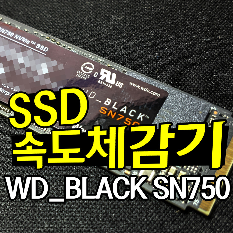 WD Black SN750 1TB NVMe SSD 내돈내산 직구 후기