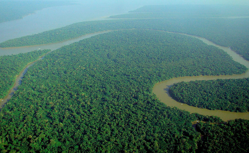 열대우림이 오히려 온실가스를 배출한다?