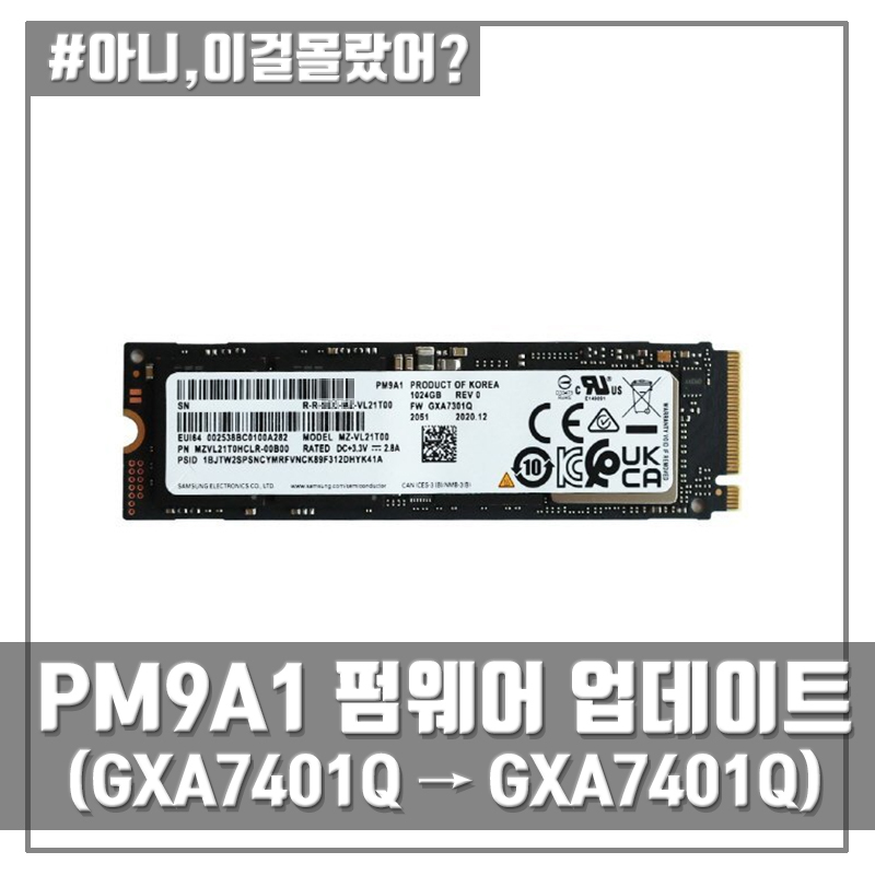삼성전자 SSD PM9A1 펌웨어 업데이트 방법 (GXA7401Q)