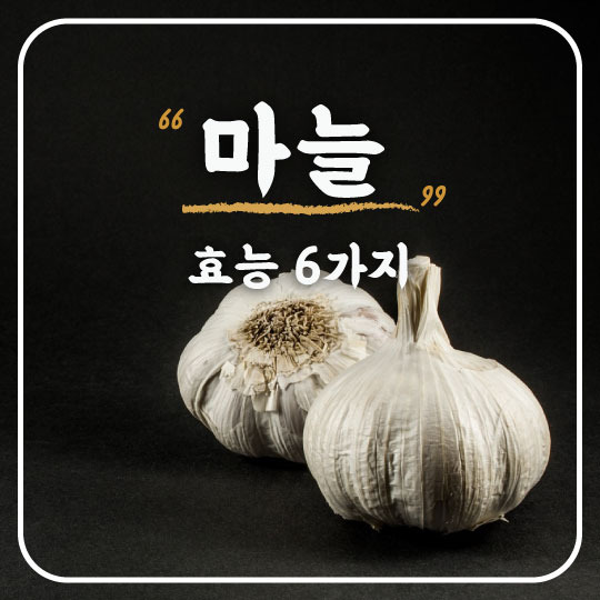 한국인의 힘의 원천! 자연 강장제 마늘의 6가지 효능