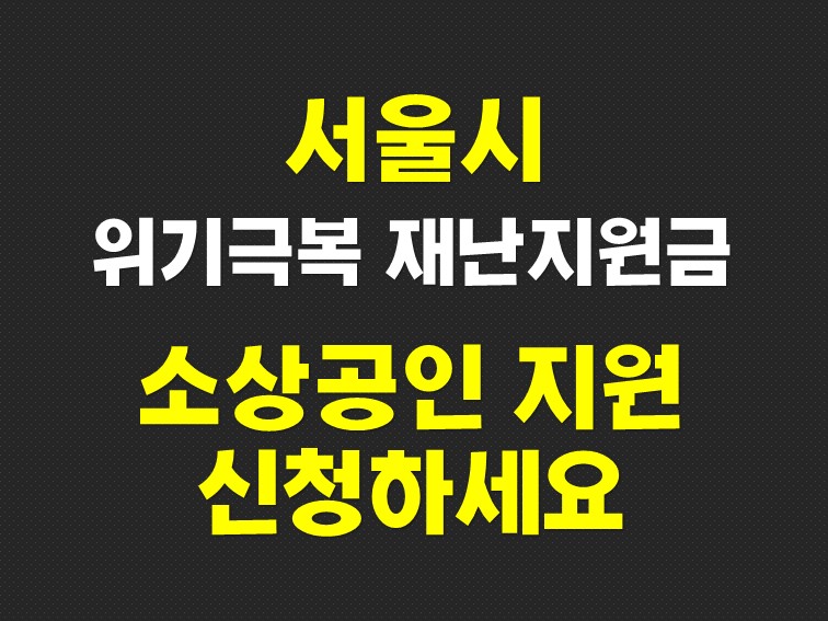 서울시 재난지원금 소상공인 서울경제 활력자금 지원 신청방법