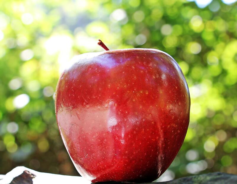 사과는 현대인의 건강에 아주 좋은 과일