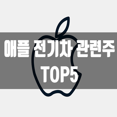 애플 전기차 관련주 TOP 5