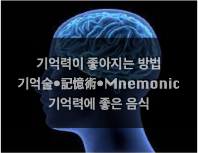 기억력을 키우자! : 기억술 기본원칙, 기억력 높이는 방법, 기억력에 좋은 음식
