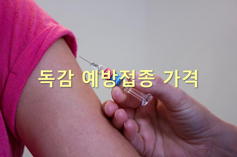 독감 증상과 독감 예방접종 가격