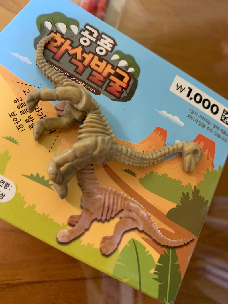 공룡화석을 발굴했어요