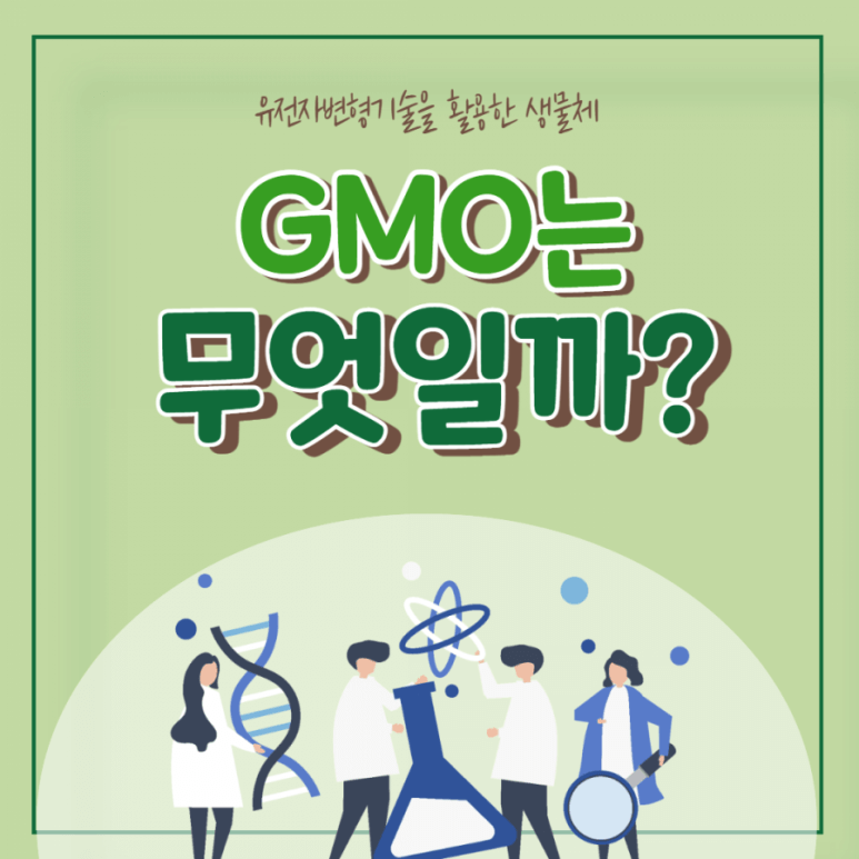 GMO (유전자변형식품) 정의, 종류, 제조법, 장단점, 인간에게 미치는 영향, 구분법