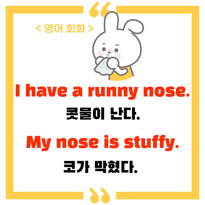 ‘콧물이 난다’, ‘코가 막혔다’ 영어 ‘I have a runny nose’, ‘My nose is stuffy’